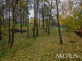 Verta Žinoti - nuotraukos Nr. 9