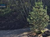 A++ Klasės Namas Sudervėje – Vos 900 M Iki - nuotraukos Nr. 15