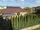 Išnuomojamas naujai įrengtas 2 kambarių butas - nuotraukos Nr. 22