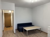 Išnuomojamas Naujai Suremontuotas 1 Kambario - nuotraukos Nr. 16
