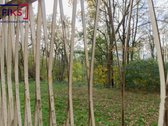 Parduodamas 3 Kambarių Butas Domeikavoje, - nuotraukos Nr. 22