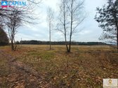 Parduodamas 5,91 ha žemės sklypas šalia A1 - nuotraukos Nr. 13