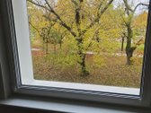 Nuomojamas Ką Tik Kapitališkai Suremontuotas - nuotraukos Nr. 5