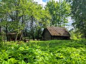 Tik 15 Km Nuo Anykščių Miesto, Rašimų Kaime, - nuotraukos Nr. 13