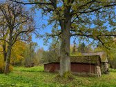 Tik 15 Km Nuo Anykščių Miesto, Rašimų Kaime, - nuotraukos Nr. 17