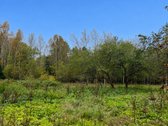Tik 15 Km Nuo Anykščių Miesto, Rašimų Kaime, - nuotraukos Nr. 22