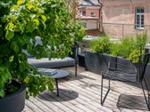 Naujai įrengti Senamiesčio apartamentai - nuotraukos Nr. 24