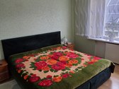 Parduodamas mūrinis namas Pievų g. - nuotraukos Nr. 11