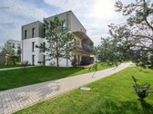 Popietės saulė erdviame balkone, - nuotraukos Nr. 10