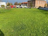 Parduodamas sklypas. Tvarkingas išplanavimas. - nuotraukos Nr. 2