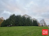 Jaukūs Namai Tauralaukyje – Su Požeminiu - nuotraukos Nr. 6