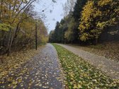 Prieš metus bute atliktas kapitalinis - nuotraukos Nr. 19