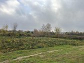 Parduodu žemės sklypą Pilaitėje. Sklypas 13 - nuotraukos Nr. 3