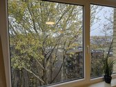 Room for rent 20m2 with bathroom near Old - nuotraukos Nr. 11