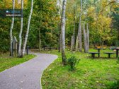 Prie Visorių Miško Parko Naujos Statybos - nuotraukos Nr. 27