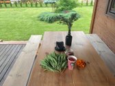 Parduodamas tvarkingas, prižiūrėtas ir - nuotraukos Nr. 4