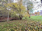 Unikalioje, itin ramioje vietoje, parduodama - nuotraukos Nr. 8