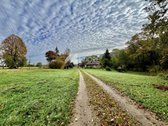 Unikalioje, itin ramioje vietoje, parduodama - nuotraukos Nr. 2