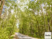  – Nt ekspertai be procentų - nuotraukos Nr. 31