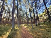 Jūra čia pat, popietės saulė terasoje ir - nuotraukos Nr. 32