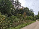 Parduodamas 2,33 ha sklypas su mišku – rami - nuotraukos Nr. 5