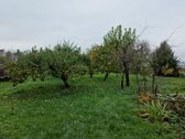 Parduodama Sodyba -Vienkiemis, Su Ūkiniais - nuotraukos Nr. 10