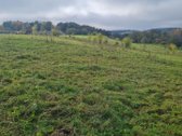 Parduodamas 70,85 A Sklypas Netoli Bartkuškio - nuotraukos Nr. 2