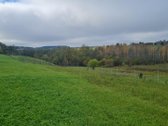 Parduodamas 70,85 A Sklypas Netoli Bartkuškio - nuotraukos Nr. 6