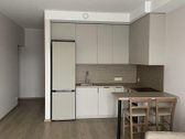 Nuomojamas visiškai naujas, negyventas 1 - nuotraukos Nr. 4