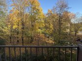 Vilniaus m. sav., Vilniaus m., Naujamiestis - nuotraukos Nr. 5