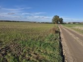 Parduodamas 75 arų žemės ūkio paskirties - nuotraukos Nr. 9