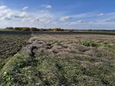 Parduodamas 75 arų žemės ūkio paskirties - nuotraukos Nr. 10