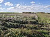 Parduodamas 75 arų žemės ūkio paskirties - nuotraukos Nr. 13
