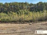 Unikalus namų valdos sklypas su vaizdais į - nuotraukos Nr. 18