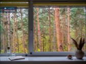 Parduodamas Jaukus Ir Erdvus 3 Kambarių Butas - nuotraukos Nr. 15