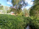 Parduodamas Namas Su 9,55 A. Sklypu Kupiškio - nuotraukos Nr. 12