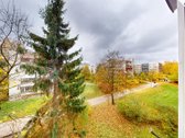 Nuomojamas Šviesus 2 Kambarių Butas - nuotraukos Nr. 11