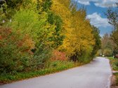 Avižienių ir Tarandės sankirtoje parduodamas - nuotraukos Nr. 15