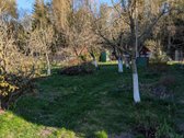 Mūrinis sodo namas su 8 a sklypu – 400 m iki - nuotraukos Nr. 11