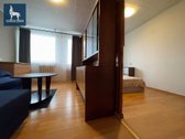 Išnuomojamas 33 M² Butas Vilniaus - nuotraukos Nr. 2