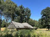 Parduodamas 20 arų ploto namų valdos - nuotraukos Nr. 5