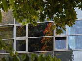 Oficina Studijos įsilieja į miesto ritmą - nuotraukos Nr. 4
