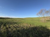 1,17 ha sklypas su kūdra ir upelio pakrante – - nuotraukos Nr. 5