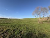 1,17 ha sklypas su kūdra ir upelio pakrante – - nuotraukos Nr. 6