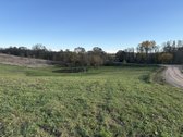 1,17 ha sklypas su kūdra ir upelio pakrante – - nuotraukos Nr. 4