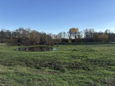 1,17 ha sklypas su kūdra ir upelio pakrante – - nuotraukos Nr. 2