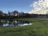 1,17 ha sklypas su kūdra ir upelio pakrante – - nuotraukos Nr. 8