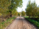 Parduodamas 23,12 arų (0.2312 ha) žemės ūkio - nuotraukos Nr. 10