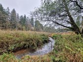 Molėtų Rajone Parduodama Renovuota Sodyba - - nuotraukos Nr. 23