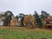Molėtų Rajone Parduodama Renovuota Sodyba - - nuotraukos Nr. 24
